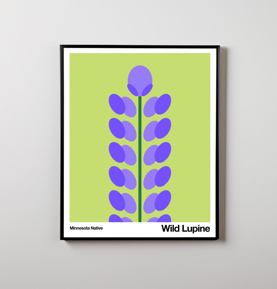 Wild Lupine | Art Print from the Minnesota Native Plant Series