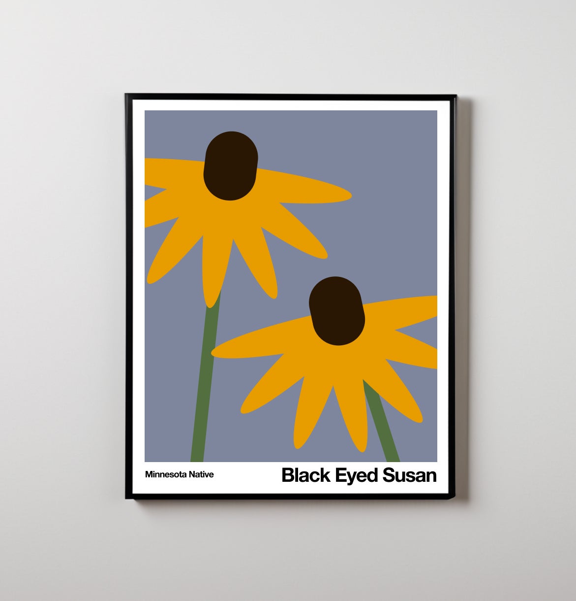 Black Eyed Susan | Art Print from the Minnesota Native Plant Series
